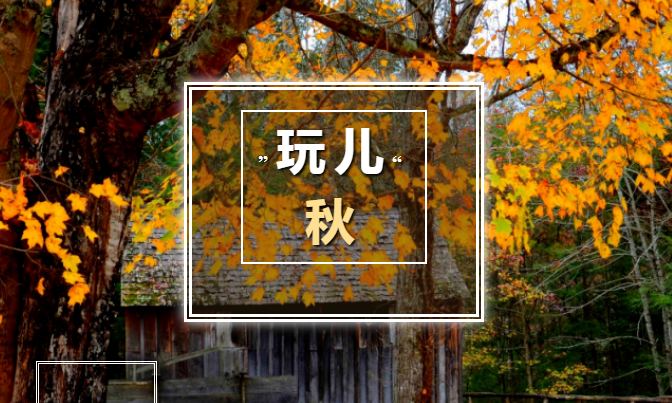 1698651603802.png