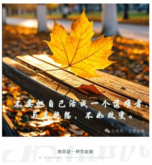 微信截图_20241112173900.png