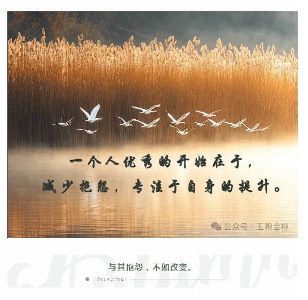 微信截图_20241112173914.png
