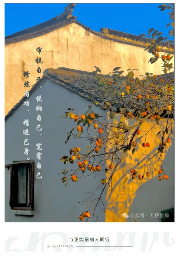 微信截图_20241112173926.png