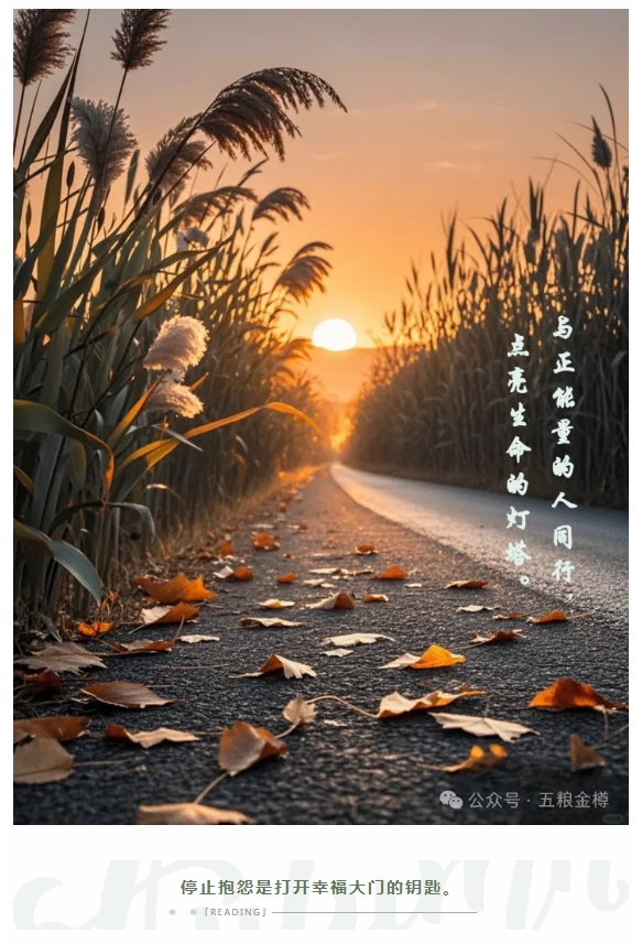 微信截图_20241112173938.png